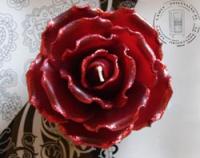 Czerwona Świeca Róża